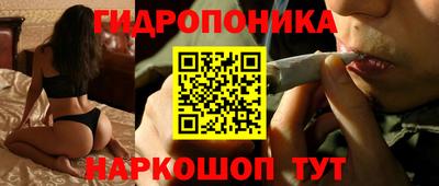 сатива Белореченск