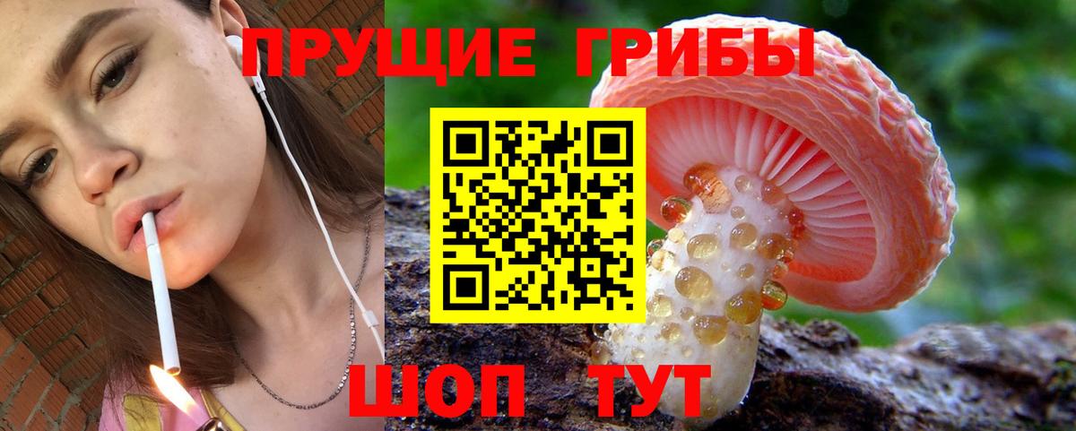 Галлюциногенные грибы Cubensis  Вход с VPN  Псилоцибиновые грибы мухоморы  Воронеж 